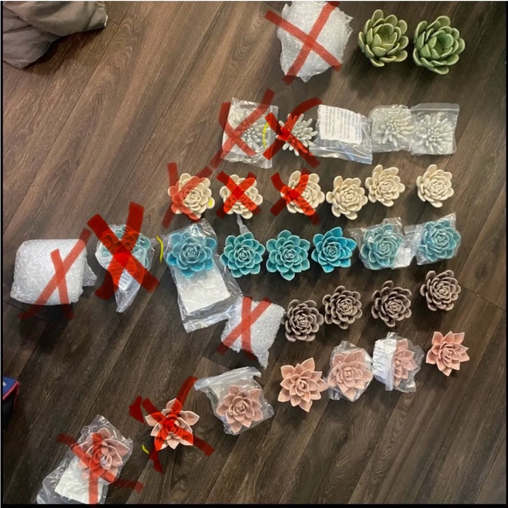 Nordstrom Ceramic Succulents - Picture 9 of 9